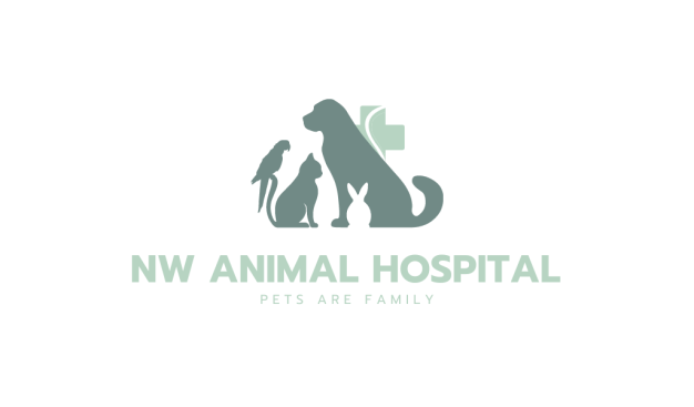 NW Animal hospital